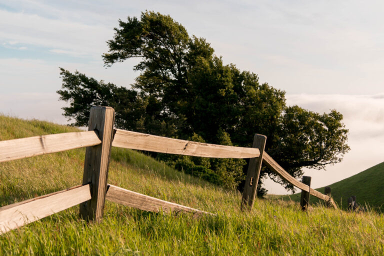 10 Top Things To Consider Before Buying Land For A Homestead