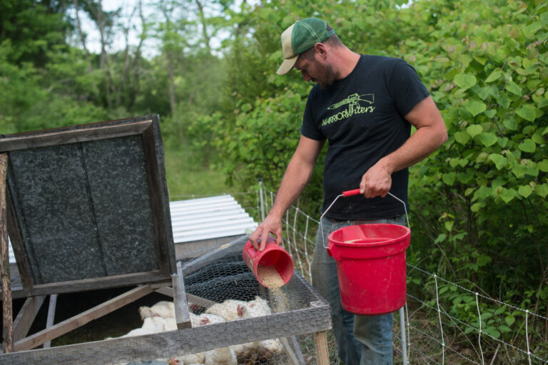 How to Build a Chicken Coop
