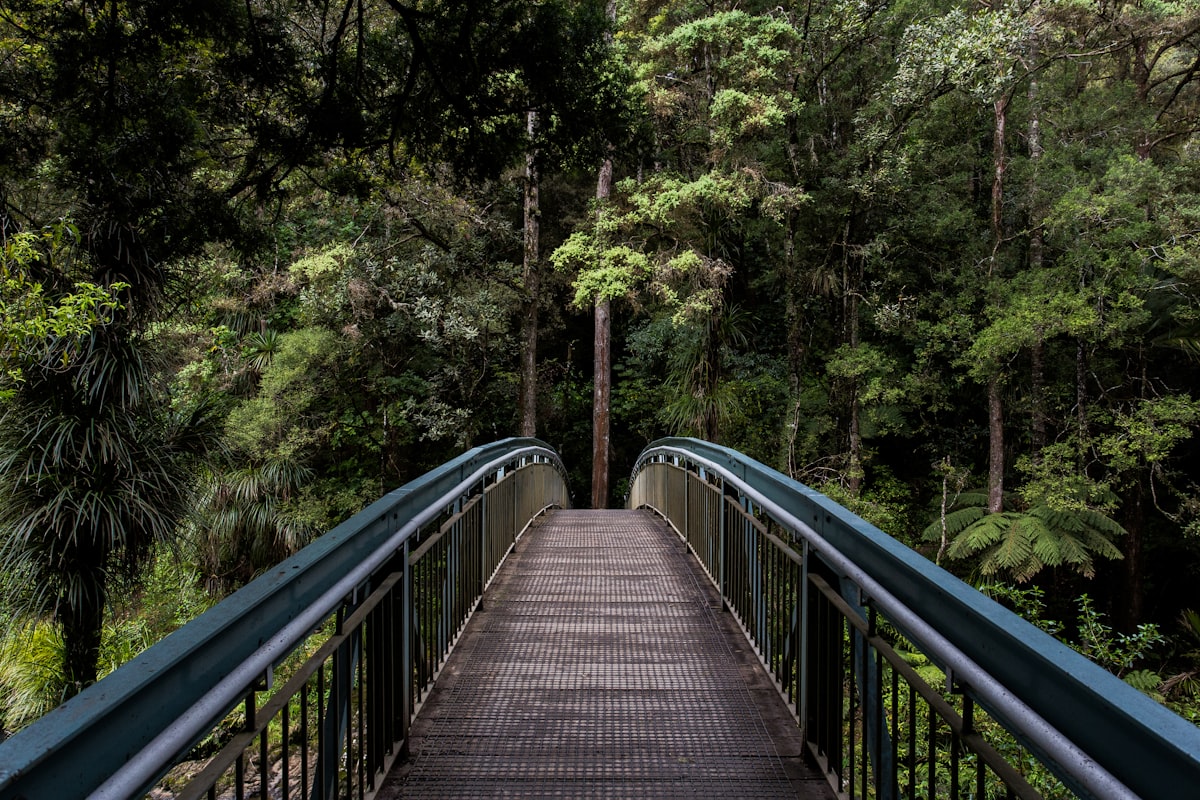 Natural trail and outdoor environment to navigate with a bug out bag