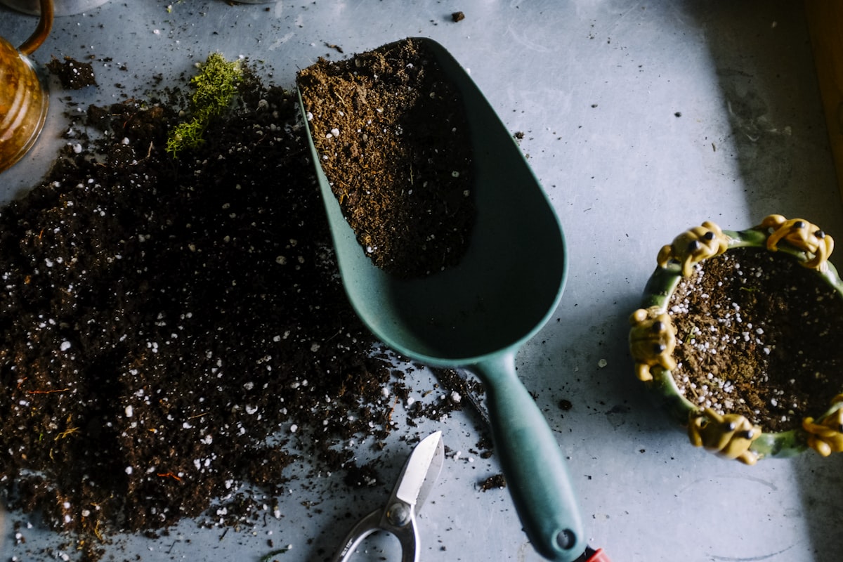 Garden gloves and hand trowel ready for essential gardening tasks