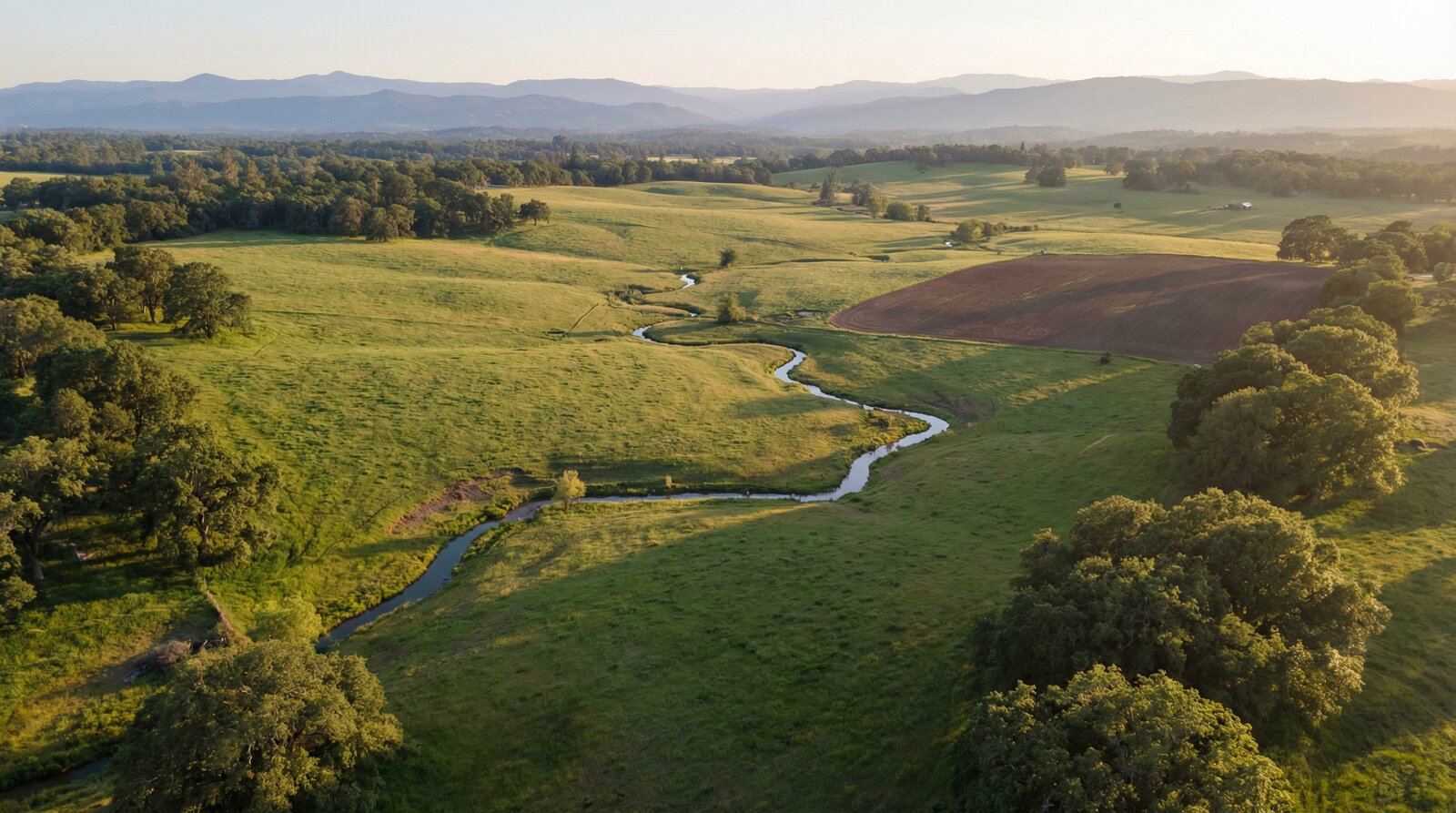 Aerial view of rolling green homestead land at golden hour - how to buy homestead land